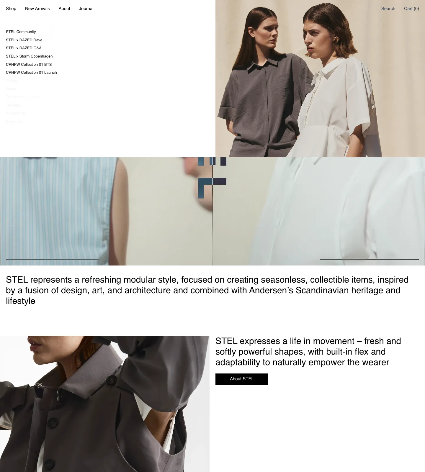 Screenshot of https://stelstores.com